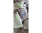 Dalmia Cement - 4806 Bags at Muzaffarpur