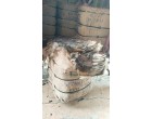 Water Damaged Gunny /Jute Bags – 720 Bales (500 bags each bales) at Telangana 