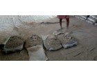 Dalmia Cement - 3643 Bags at Sasaram Bihar